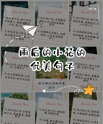 栽培的意思，核心概念，通俗理解