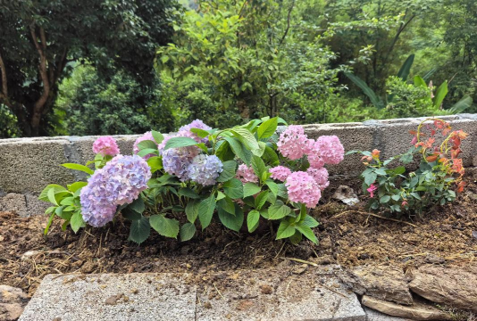 绿化景观设计，提升环境品质，创造宜人空间