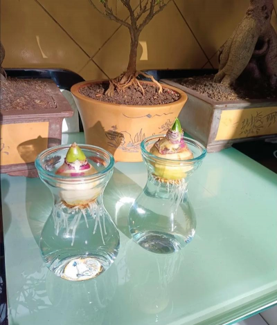 绿化景观设计，提升环境品质，创造宜人空间