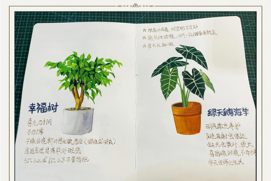 别墅园林绿化设计，打造私密空间，提升居住品质