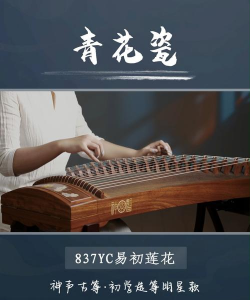 绯花玉怎么养，掌握关键技巧，轻松养出好状态