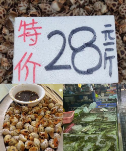 越南养花螺价格