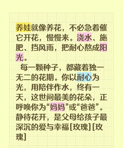 无土栽培技术，突破土壤限制，开启高效种植新篇章