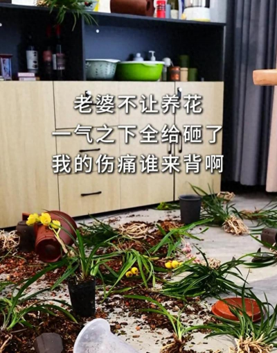 绯花玉怎么养，掌握关键技巧，轻松养出好状态