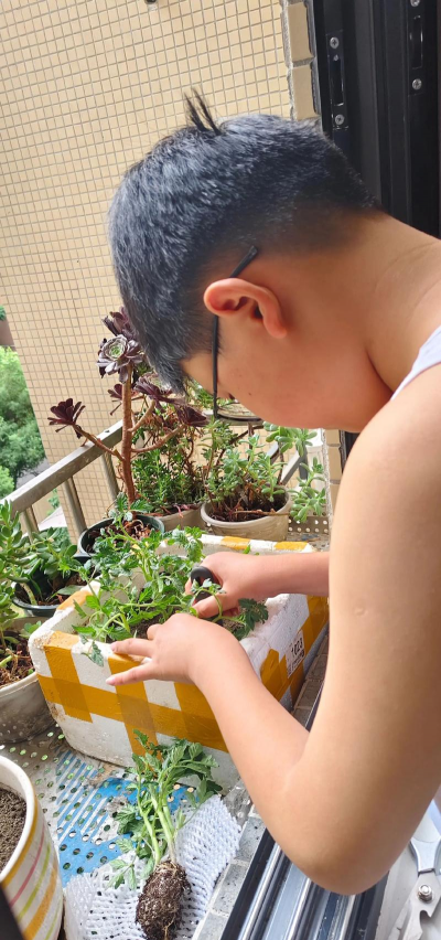 栽培的意思，核心概念，通俗理解