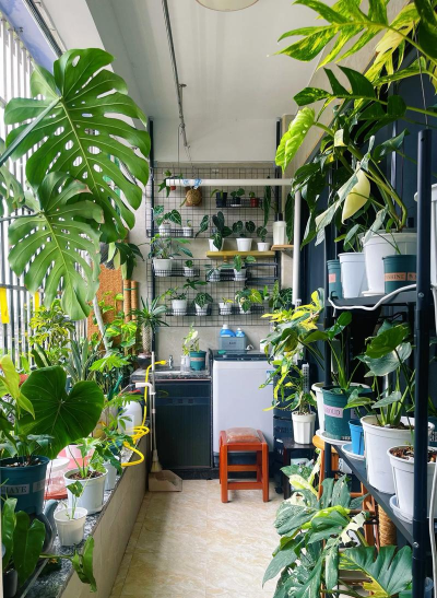 栽培的意思，核心概念，通俗理解