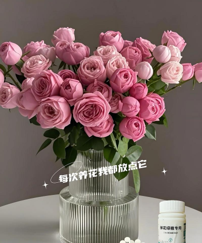 栽培的意思，核心概念，通俗理解