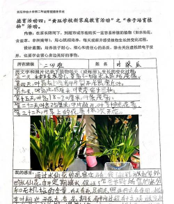 别墅园林绿化设计，打造私密空间，提升居住品质