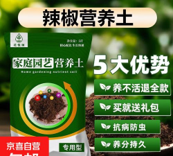 别墅园林绿化设计，打造私密空间，提升居住品质