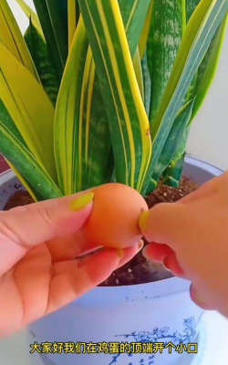 别墅园林绿化设计，打造私密空间，提升居住品质