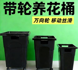 别墅园林绿化设计，打造私密空间，提升居住品质