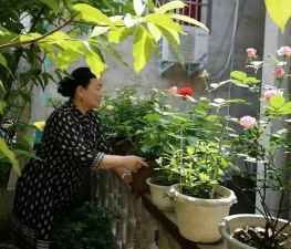 别墅园林绿化设计，打造私密空间，提升居住品质