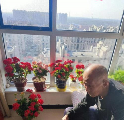 绿化景观设计，提升环境品质，创造宜人空间