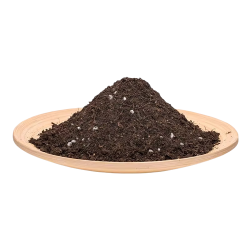 葡萄栽培，掌握关键技术，实现优质丰产