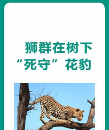 别墅园林绿化设计，打造私密空间，提升居住品质