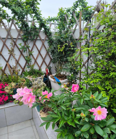 绿化景观设计，提升环境品质，创造宜人空间