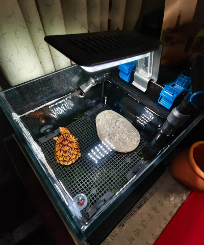 绿化景观设计，提升环境品质，创造宜人空间