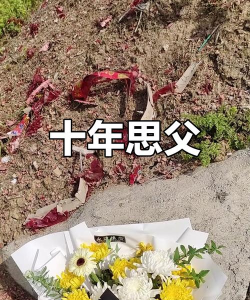 葡萄栽培，掌握关键技术，实现优质丰产