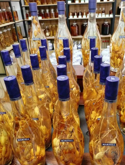 无土栽培技术，突破土壤限制，开启高效种植新篇章