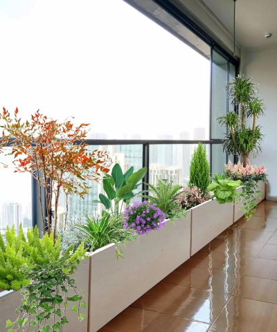 无土栽培技术，突破土壤限制，开启高效种植新篇章