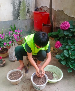 栀子花怎么养，掌握浇水技巧，避免黄叶掉苞