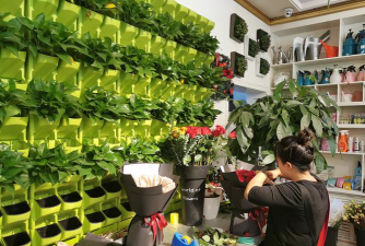 家庭养花用生根粉