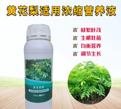专用养花梨肥料