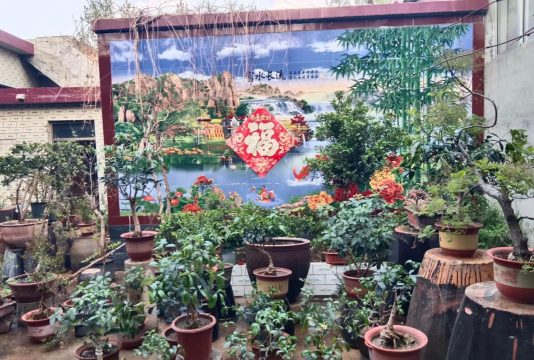 别墅园林绿化设计，打造私密空间，提升居住品质