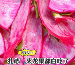 玫瑰花怎么养才不会枯萎，掌握浇水施肥技巧，轻松延长花期