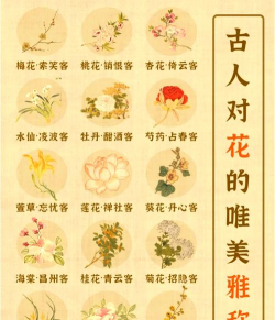 绿化景观设计，提升环境品质，创造宜人空间