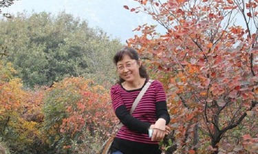 兰草花怎么养，掌握关键技巧，轻松培育美丽花朵