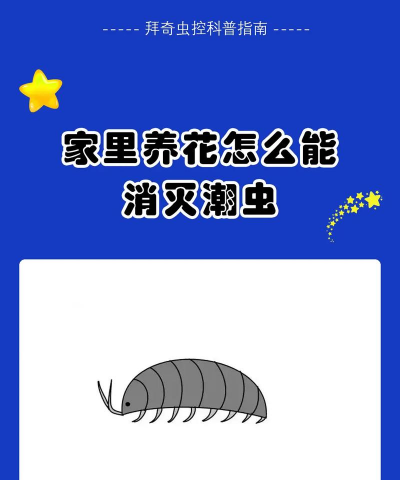 绯花玉怎么养，掌握关键技巧，轻松养出好状态