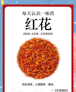 绯花玉怎么养，掌握关键技巧，轻松养出好状态