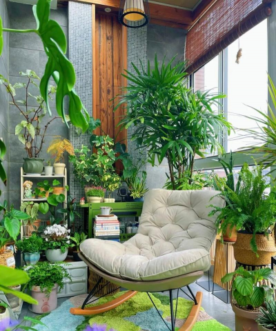 栽培的意思，核心概念，通俗理解