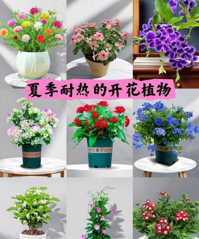 栽培的意思，核心概念，通俗理解