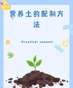 葡萄栽培，掌握关键技术，实现优质丰产