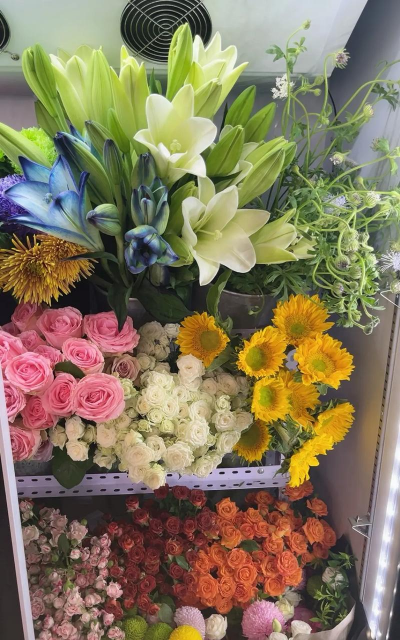 别墅园林绿化设计，打造私密空间，提升居住品质