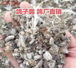 别墅园林绿化设计，打造私密空间，提升居住品质