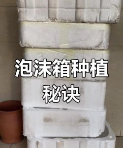 栽培的意思，核心概念，通俗理解