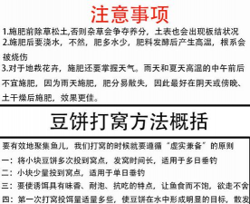 玫瑰花怎么养才不会枯萎，掌握浇水施肥技巧，轻松延长花期