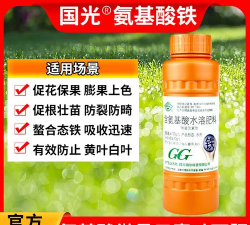 玫瑰花怎么养才不会枯萎，掌握浇水施肥技巧，轻松延长花期