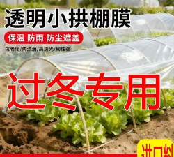 别墅园林绿化设计，打造私密空间，提升居住品质