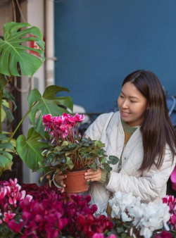 别墅园林绿化设计，打造私密空间，提升居住品质