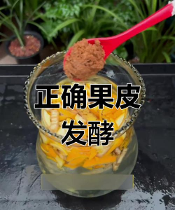 玫瑰花怎么养才不会枯萎，掌握浇水施肥技巧，轻松延长花期