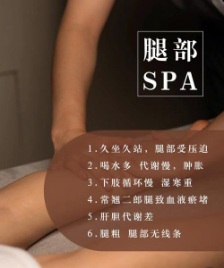 玫瑰花怎么养才不会枯萎，掌握浇水施肥技巧，轻松延长花期