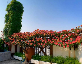 玫瑰花怎么养才不会枯萎，掌握浇水施肥技巧，轻松延长花期