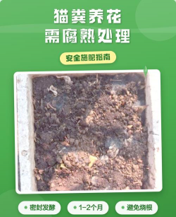 玫瑰花怎么养才不会枯萎，掌握浇水施肥技巧，轻松延长花期