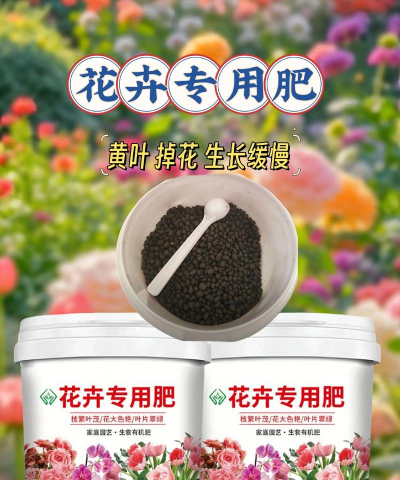 柿树虫病防治，识别常见虫害，掌握有效方法