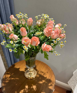 葡萄栽培，掌握关键技术，实现优质丰产