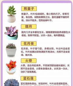 葡萄栽培，掌握关键技术，实现优质丰产